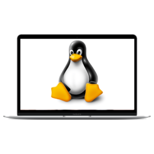 Linux-Services.png